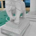 宁夏 白麻花岗岩动物异形石雕-大象