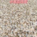 宁夏黄金麻中黄荔枝面