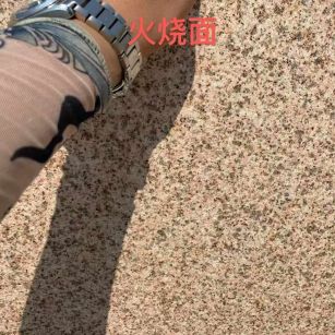 宁夏黄金麻火烧面