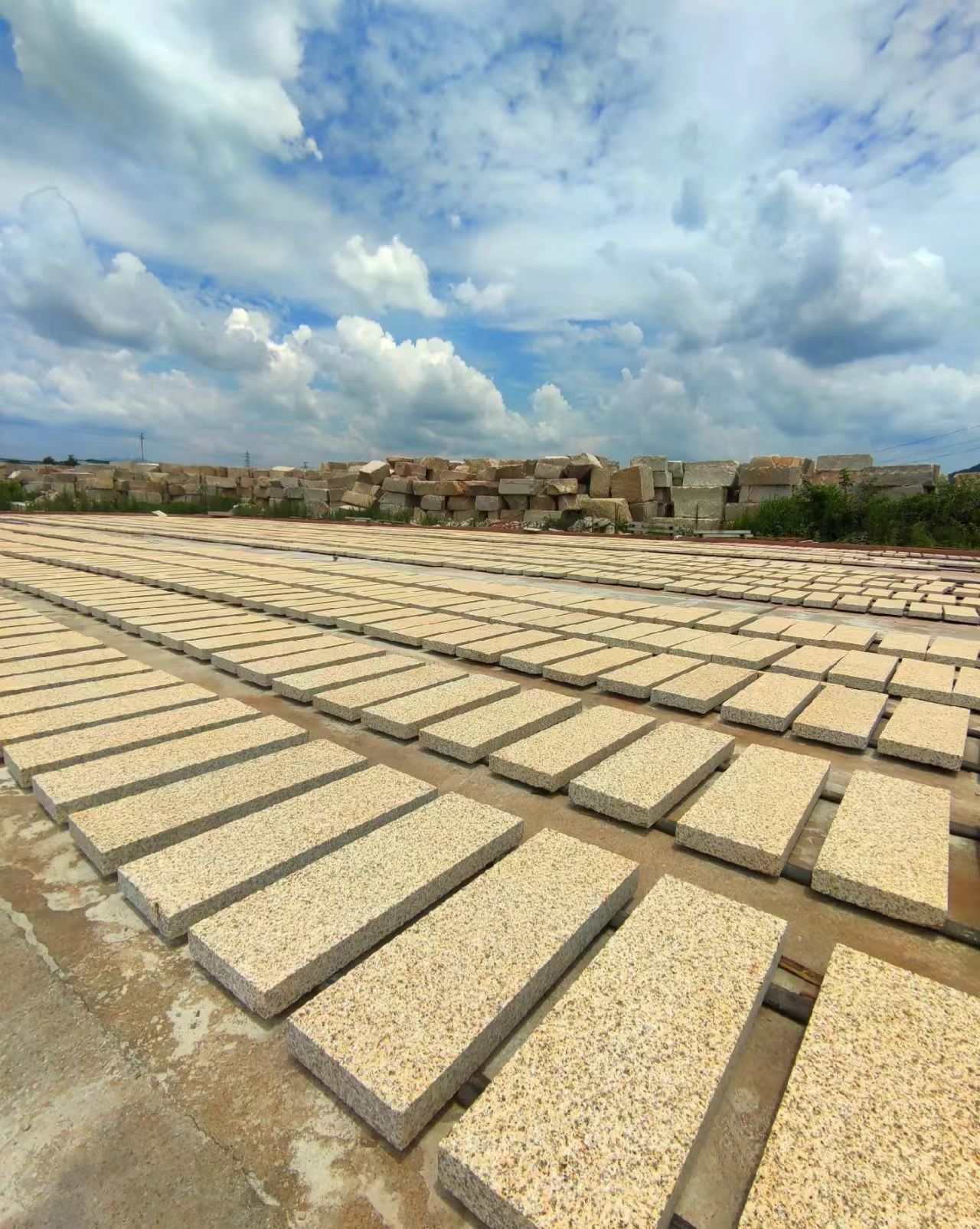 宁夏 黄金麻花岗岩荔枝面地铺石防护中