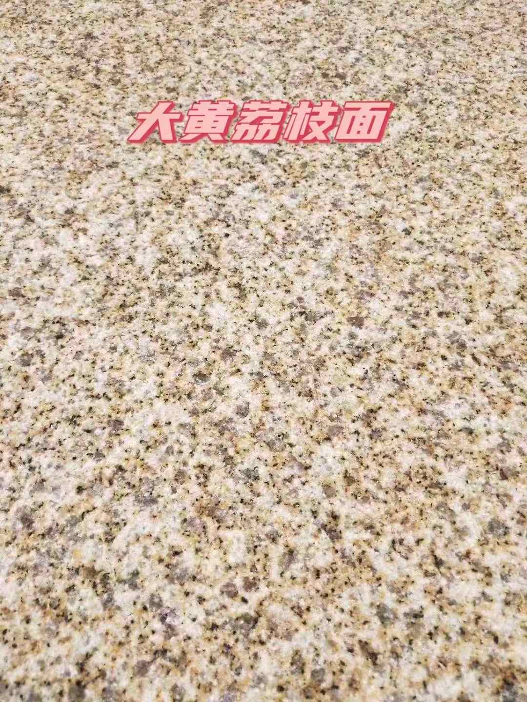 宁夏黄金麻大黄荔枝面